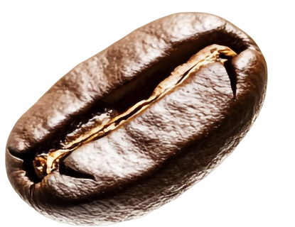Grano de café 3
